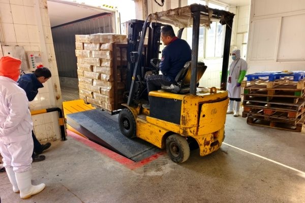 银泰厂区内登车桥满负荷测试实拍